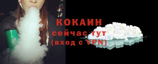 гидра Сясьстрой