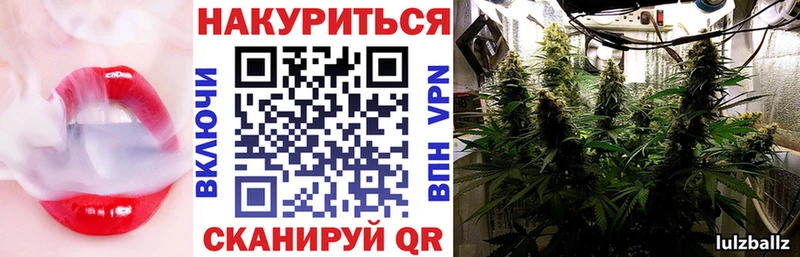 Каннабис сатива Власиха